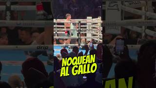 GALLO ESTRADA VS BAM RODRIGUEZ KO FULL FIGHT boxeomundial [upl. by Weiner]