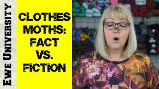 CLOTHES MOTHS FACT VS FICTION [upl. by Yliak]