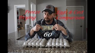 Freeze Drying 60 Eggs amp Cost Comparison vs Mountain House [upl. by Ajidahk]