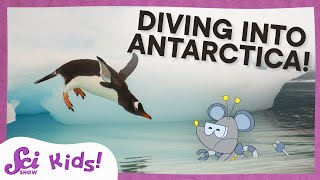 Exploring Antarctica From Penguins to the Coldest Seas  SciShow Kids Compilation [upl. by Bullis]