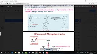 Anticancer Agents 04  Antimetabolites [upl. by Enaujed858]