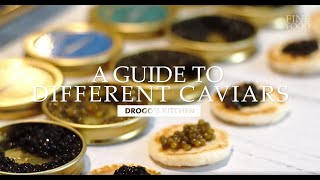 A Guide to Different Types of Premium Caviars  Drogos Kitchen  Fine Food Specialist [upl. by Zerelda]