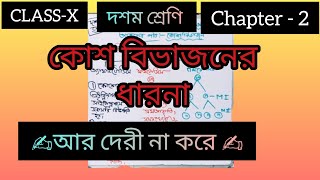 CLASS  10💥 Chapter2📚 concept about✍️cell division 🌻💐in bangla 💯 [upl. by Labannah]