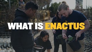 What is Enactus [upl. by Hanae]