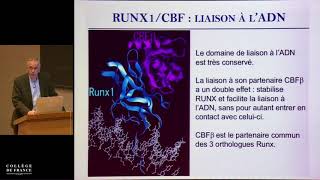 Facteurs de transcription et différenciation cellulaire 2  Hugues de Thé 20172018 [upl. by Casanova]