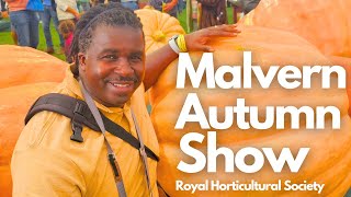 Exploring the Malvern Autumn Show A Stunning Walk Through [upl. by Rozalin]