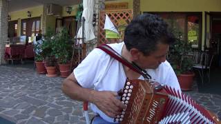 Tarantella Calabrese Antonio Serra al Pettoruto 2011 [upl. by Loar145]