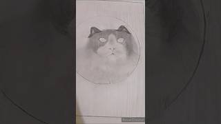 Cat Drawing to be completed🥰❤️ artsbyrsk art catlover cat shorts youtube pencilsketch [upl. by Otes860]