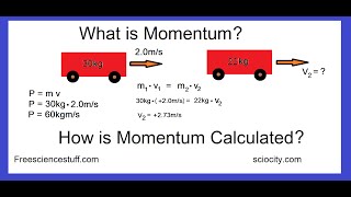 How To Calculate Momentum With Examples [upl. by Nyvar]