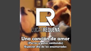 Una Canción de Amor Perros y Gatos Cantando [upl. by Oreste]