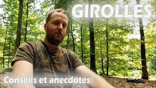 Des conseils et des anecdotes sur les girolles Comment ont été trouvées mes places [upl. by Raffarty]