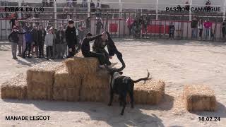 JOURNÉE TAURINE A EYRAGUES 13 MANADE LESCOT LE 180224 [upl. by Ferreby]