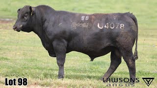 Lot 98 Lawsons Veracious VLY23U4078 [upl. by Mccready]