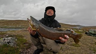 Fluefiske på Hardangervidda 2024 [upl. by Armbruster]