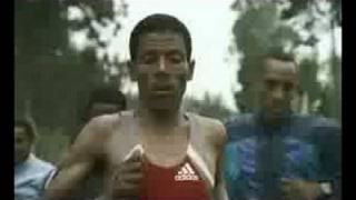 WildAid PSA  Haile Gebrselassie [upl. by Ferretti]