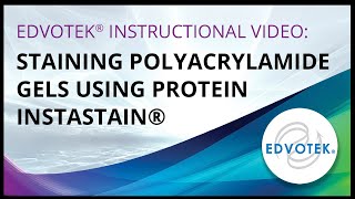 Staining Polyacrylamide Gels using Protein Instastain [upl. by Wehttan]