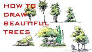 CONCEPTS APP TIPS  HOW TO MAKE BEAUTIFUL TREE SKETCHES Watercolor effect  iPad Pro [upl. by Josi299]