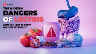 The Hidden Dangers of Lectins What You Need to Know for Your Gut HealthDrGundry [upl. by Euqirrne]