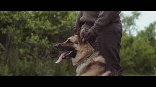 Elanco and Seresto Helping to Protect the Rhinos of Kruger National Park [upl. by Rayham]