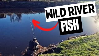 we HOOKED a BIG WILD River fish [upl. by Yngad]