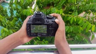 Nikon d3100 Review Best budget DSLR [upl. by Helyn]