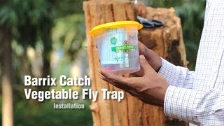 Barrix Catch Vegetable Fly Trap  Installation [upl. by Etnaud]