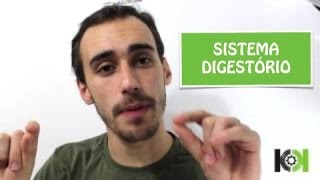 Fisiologia Animal  Sistema Digestório [upl. by Aivatnuhs]