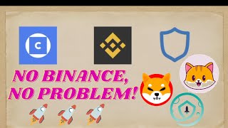 HOW TO BUY CATECOIN amp OTHER ALTCOINS IN TRUST WALLET  WINNING TRADES  V167 [upl. by Eittam]