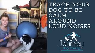 How to Teach Your Dog Not to Bark Humanely and Effectively 3 Things You Can Do Right Now [upl. by Epotimet293]