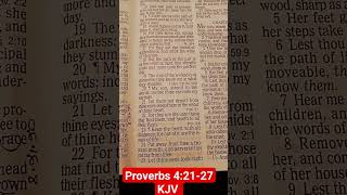 Proverbs 42127 KJV [upl. by Lajib]