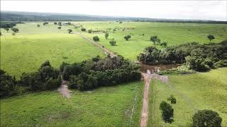 FAZENDA À VENDA ARAGUAÍNATO [upl. by Herriott]