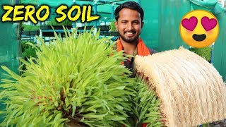 बिना मिट्टी  Organic Farming  90 पानी की बचत  Hydroponics Farming in India  Indian Farmer [upl. by Ylehsa]