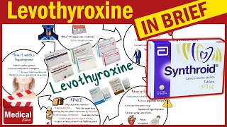 Levothyroxine  Synthroid  What is Levothyroxine Used For Dosage Side Effects amp Precautions [upl. by Pulchia]