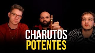 Charutos Potentes Encorpados  Fortes [upl. by Nnaik832]