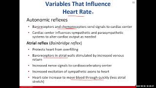 Day 9 BIO 211 720 Lecture FA2024 Heart Part 3 [upl. by Wilburt]