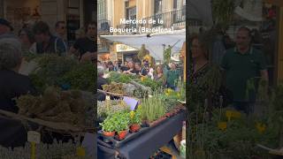 La Boqueria Market is a mustvisit in Barcelona laboqueria barcelona foodlover barcelonatravel [upl. by Maro964]