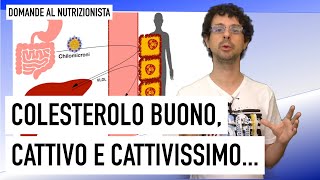 Colesterolo buono cattivo e cattivissimo [upl. by Fianna]