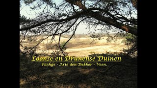 Arie den Dekker  Pa3hge  Veen  Drunen  Loonse en Drunense Duinen  AriedenDekker  Zwammen [upl. by Acinej]