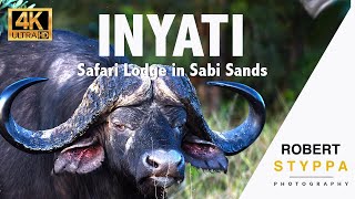 Inyati Game Lodge South Africa  One of the best safari lodges in Sabi Sands  Kruger Park [upl. by Sutsugua61]