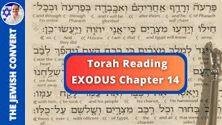 Exodus Chapter 14  Torah Reading in Hebrew with English Translation  TORAH STUDY [upl. by Alexei]