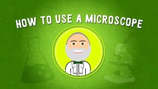 How to Use a Microscope  STEM [upl. by Richarda738]