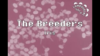 The Breeders  Iris Karaoke [upl. by Anitsenre450]