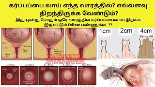 cervix dilation chart in tamil symptoms of cervix opening during pregnancycervix dilation symptoms [upl. by Adahsar298]