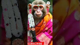 Banthiya Poosindi Banthiya Kaasindi SongShortsViralTreandingMonkey [upl. by Agan]