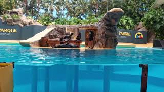 LORO PARK TENERIFE MAY 2024 PART 2 [upl. by Aala]