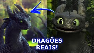 DRAGÕES NA VIDA REAL  Eles existiram  Realistic Dragons HTTYD [upl. by Sholeen]