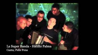 La Super Banda Music  Hatillo Palma [upl. by Libbi]