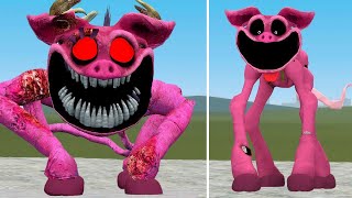 NEW EVOLUTION OF PICKY PIGGY NIGHTMARE PICKY PIGGY  Poppy Playtime Chapter 3 in Garrys Mod [upl. by Ottie]