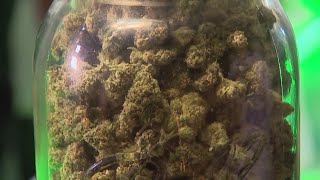 New marijuana laws now in effect  What to know [upl. by Patrice]