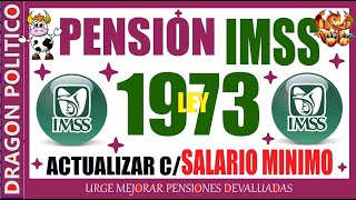 1124🔥PENSIÒN IMSS LEY 1973 😃👍✅ pension noticias ayudasocial pagos [upl. by Flatto]